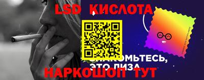прущие крисы Шебекино
