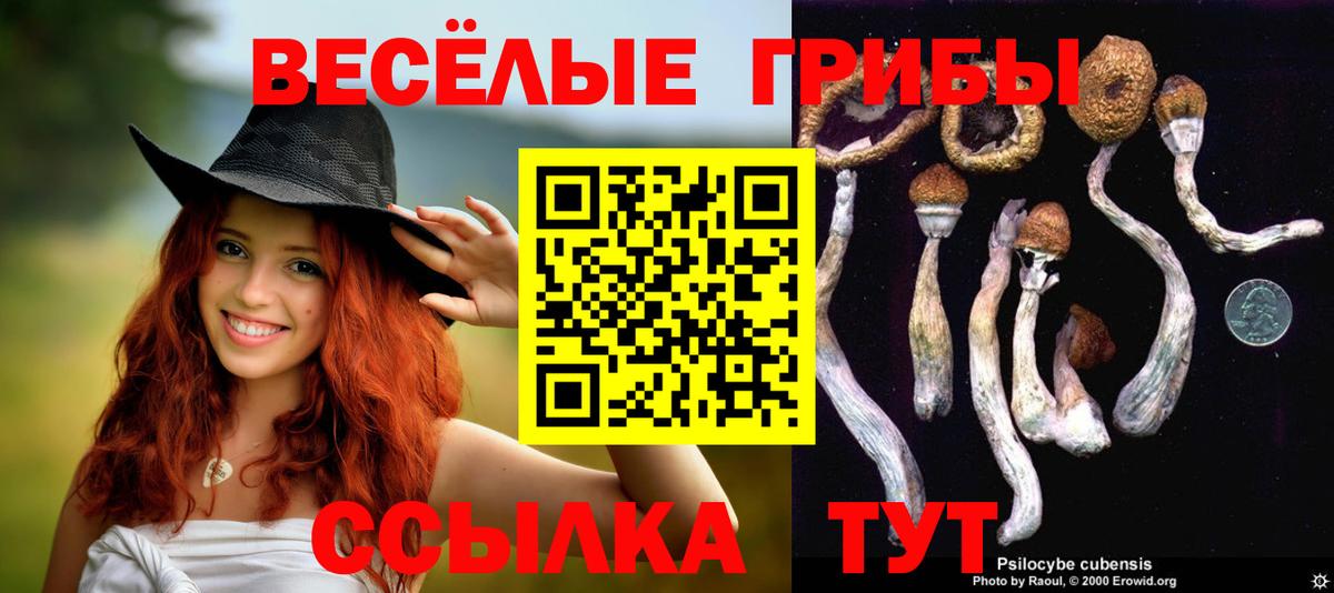 Галлюциногенные грибы MAGIC MUSHROOMS  Псилоцибиновые грибы Cubensis  Рыбинск  Вход с VPN 