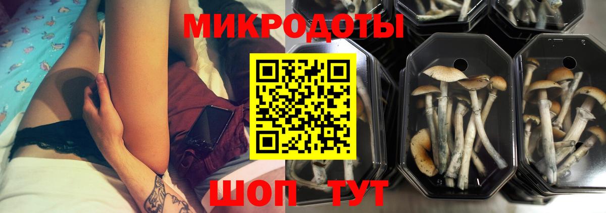 Псилоцибиновые грибы мицелий Рыбинск